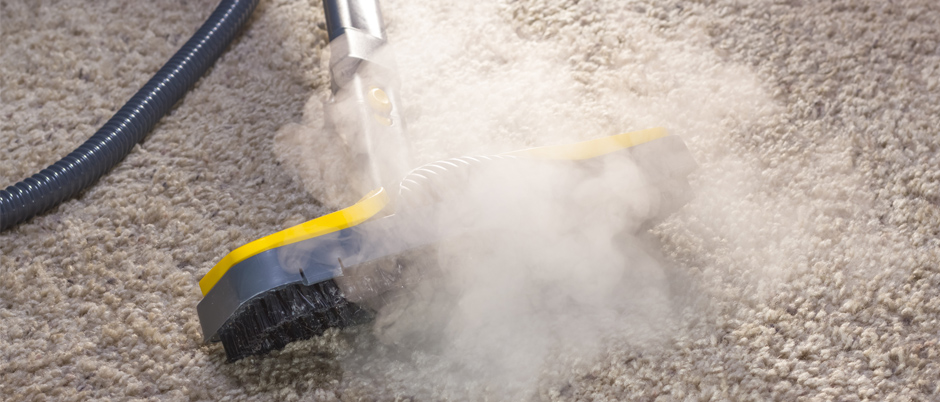 Carpet Cleaning Services NYC